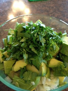 Guacamole2