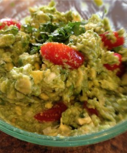 Guacamole5