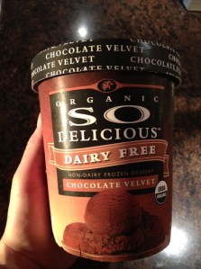 Vegan Ice Cream