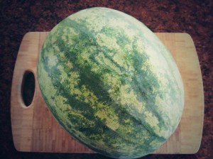 Meet "Walter" the Watermelon!