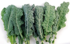 Here's a close up of Lacinato Kale