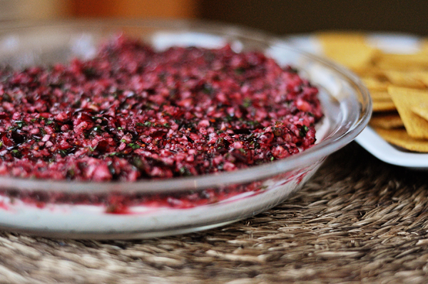 cranberry dip